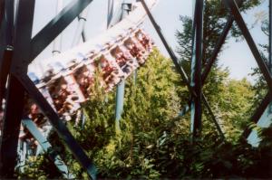 Photo courtesy of Lynn Brenzel-Radojevic